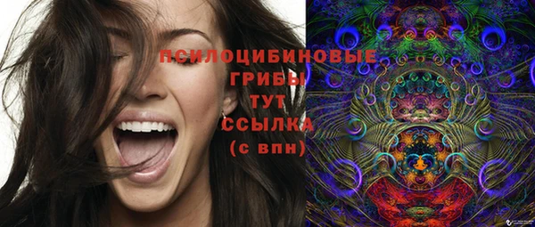 Альфа ПВП Алзамай